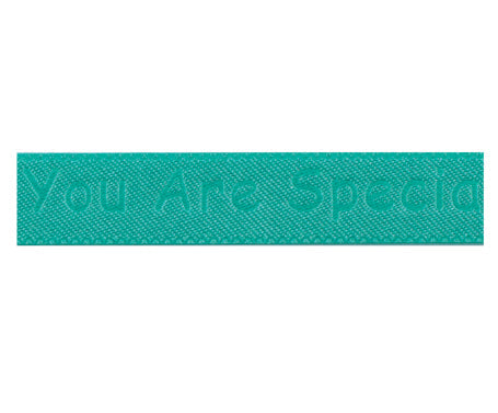 YOU ARE SPECIAL リボン #023　1サイズ3色展開