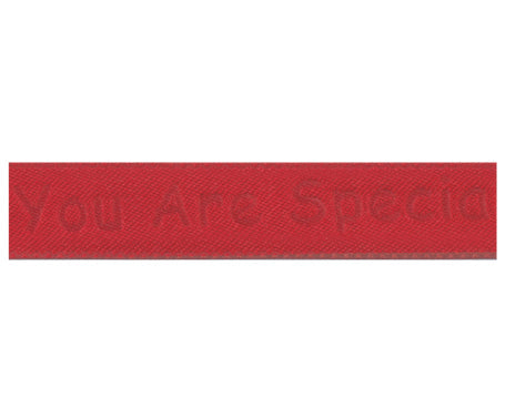 YOU ARE SPECIAL リボン #071　1サイズ3色展開